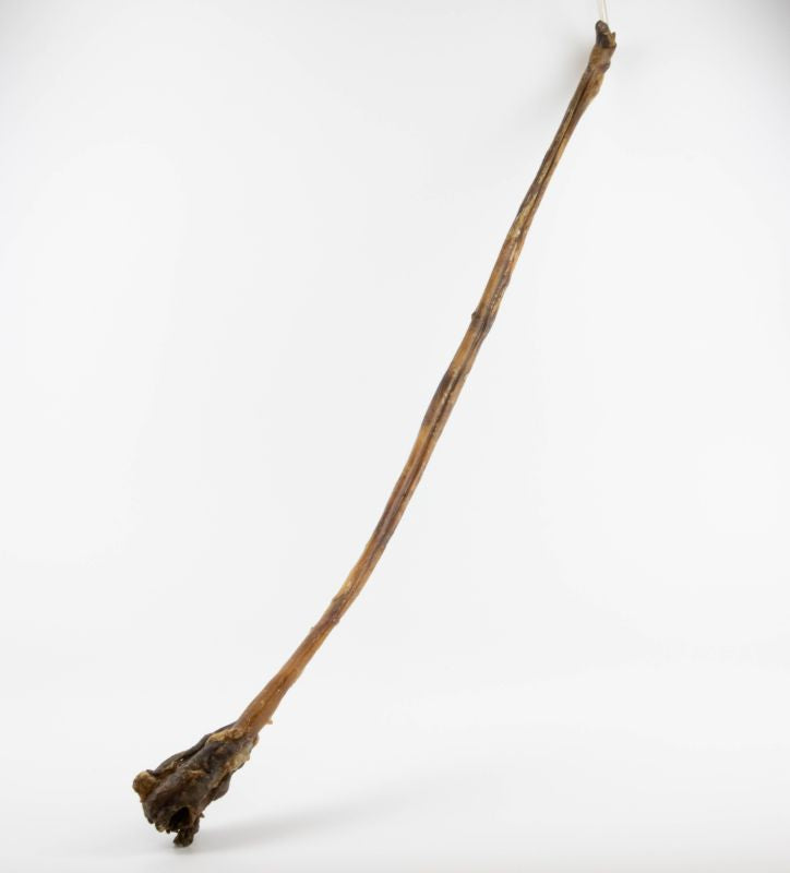 Ochsenziemer, 100cm / Stück
