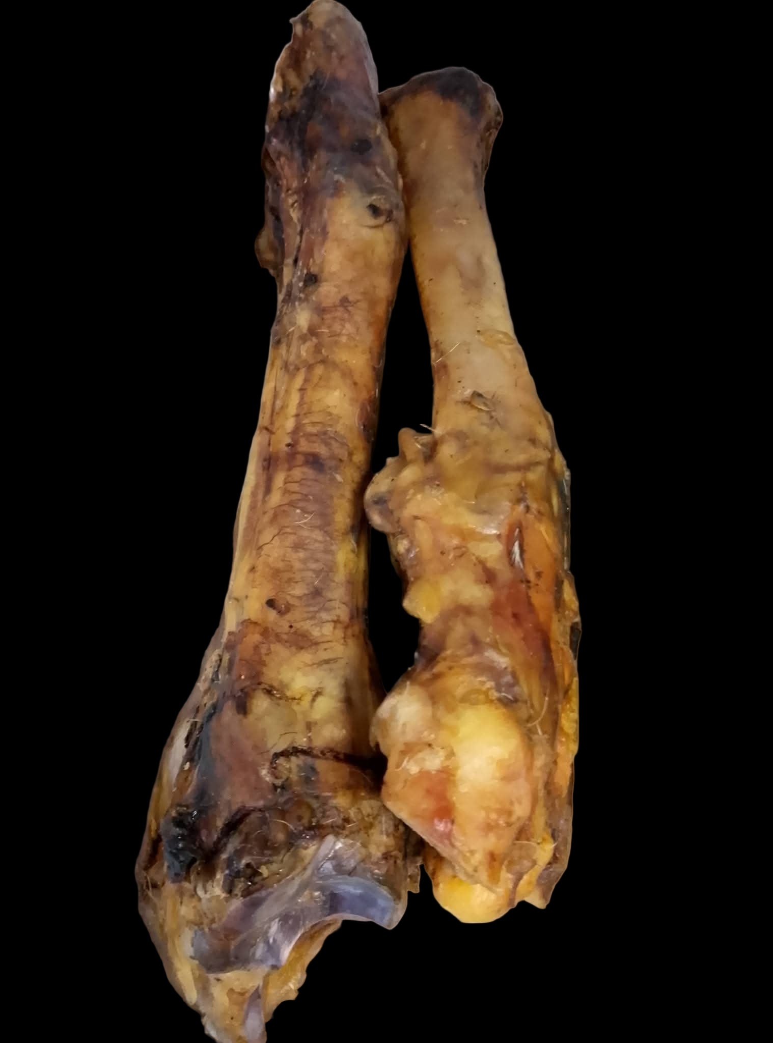 Pferdebein, ca. 40cm
