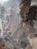 Lammlungen Würfel, getrocknet / 100gr