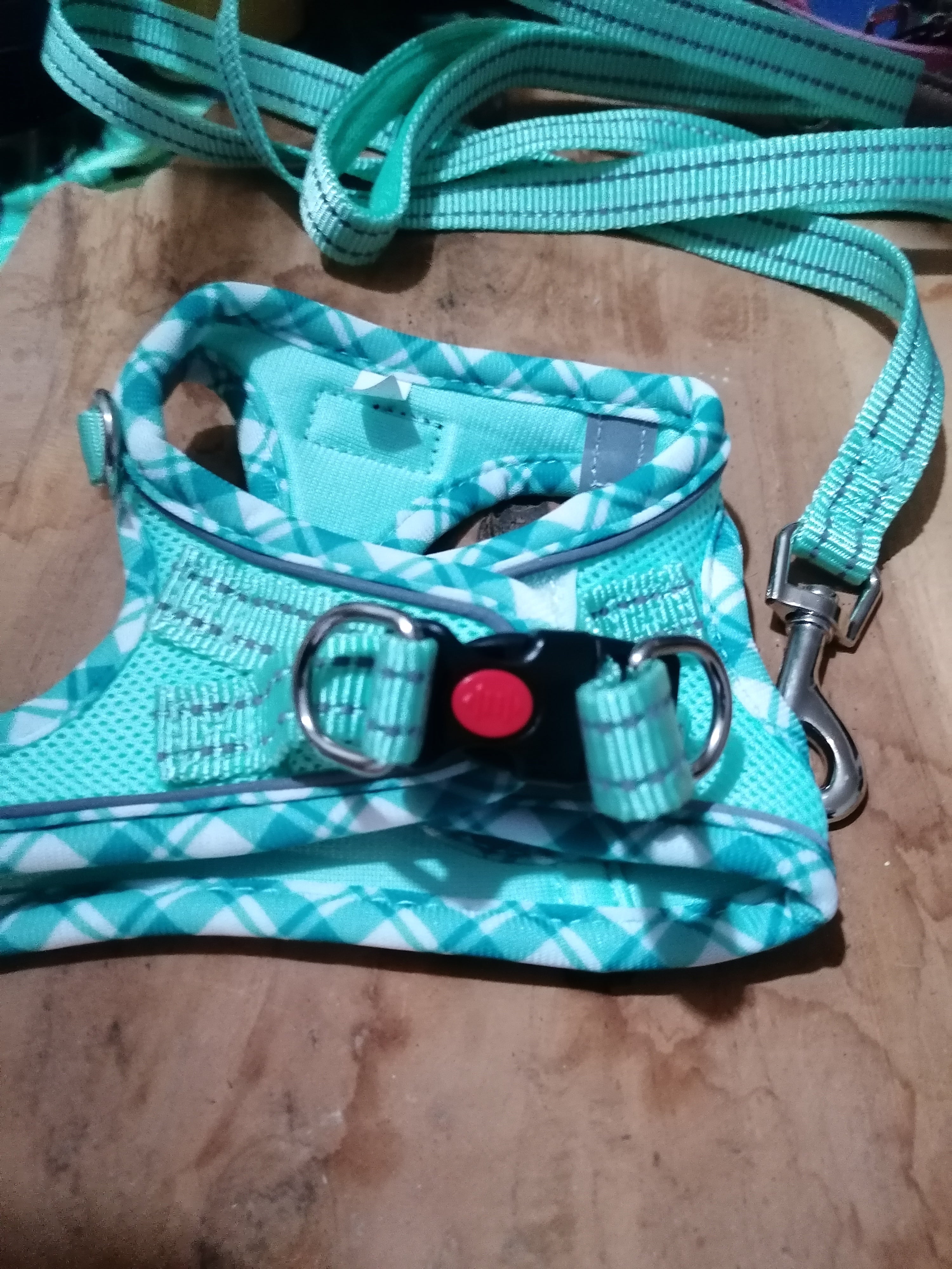Hundegeschirr + Leine / Gr. XXS