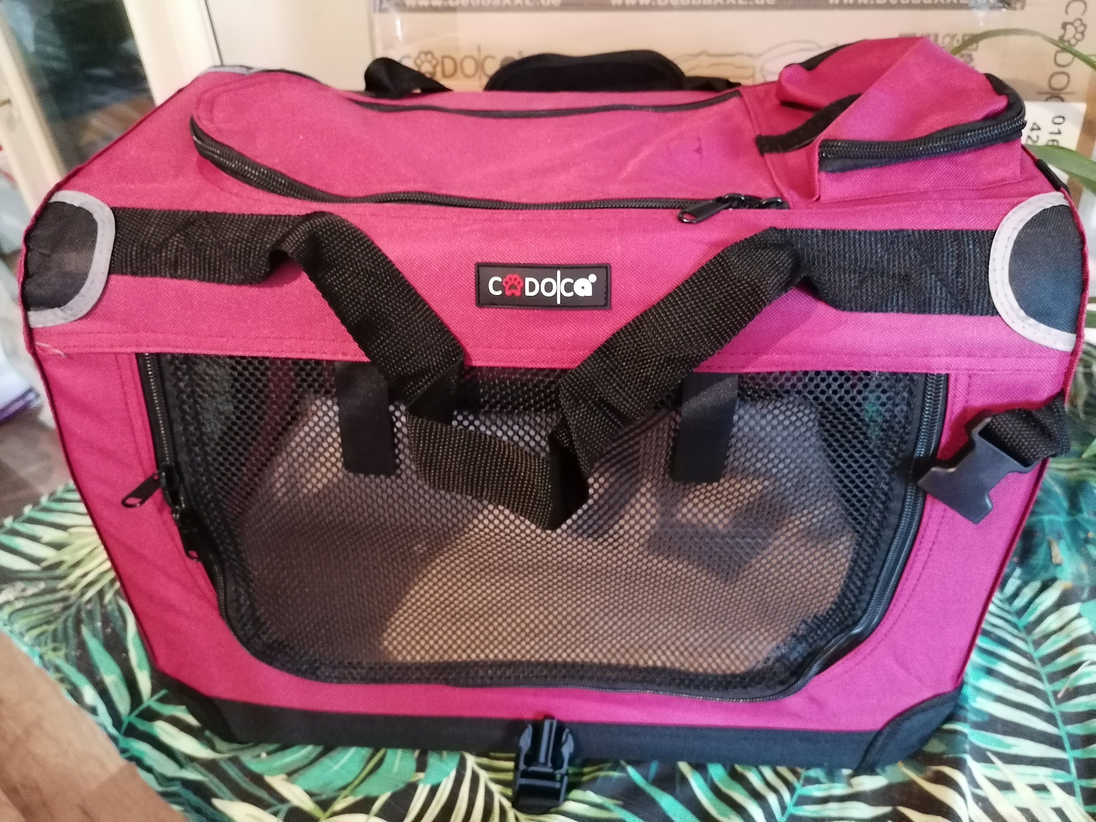 CADOCA faltbare Transportbox - Größe XXXL
